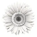 Gerbera  tattoo design idea