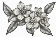 3 Arabian jasmine flowers  tattoo design idea