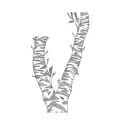 a tree with long branches that has a few leaves on it, birch tree style tattoo design idea