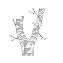 a tree with long branches that has a few leaves on it, birch tree style tattoo design idea