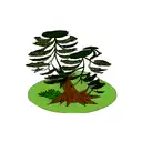 Fern Tree tattoo design idea