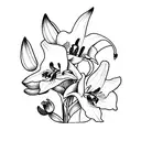 A combination of a lily and orchid tattoo design idea