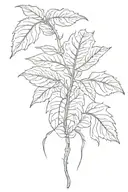  plantain leaf, cooking symbols, celestial symbols and horse  tattoo design idea