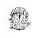 adhd brain  tattoo design idea