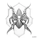 Spiderman with web and spider tattoo design idea