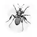 Ant tattoo design idea