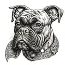 A realistic portrait of a boxer dog wearing a Harley Davidson bandana tattoo design idea