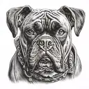 A realistic portrait of a boxer dog wearing a Harley Davidson bandana tattoo design idea