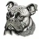 A realistic portrait of a boxer dog wearing a Harley Davidson bandana tattoo design idea