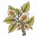 fig tree tattoo design idea