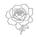 Ranunculus flower tattoo design idea