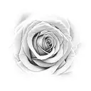 neo traditional roses in clouds tattoo design idea