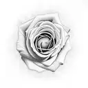 neo traditional roses in clouds tattoo design idea