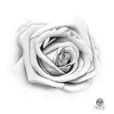 neo traditional roses in clouds tattoo design idea