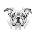 Boston terrier  tattoo design idea