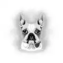 Boston terrier  tattoo design idea