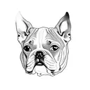 Boston terrier  tattoo design idea