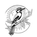in colour, a kookaburra on a willow branch with sun moon and stars in the background  tattoo design idea