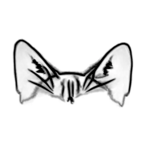 cat head outline tattoo design idea