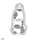 rock lee tattoo design idea