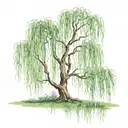 weeping willow tree  tattoo design idea