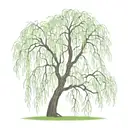 weeping willow tree  tattoo design idea