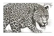 leopard walking tattoo design idea