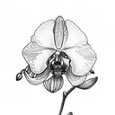 orchid minimalist tattoo design idea