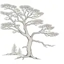 old  western red cedar tree  tattoo design idea