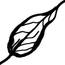veins with leaf tattoo design idea