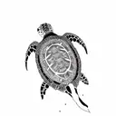 create a 3-inch to 5-inch tattoo illustration design with clean bold lines that depicts an Aruban sea turtle  tattoo design idea