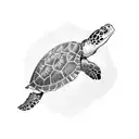 full overhead view of aruban sea turtle with initials included in shell pattern: CPS, CQS tattoo design idea