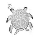 full overhead view of aruban sea turtle with initials included in shell pattern: CPS, CQS tattoo design idea
