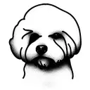 bichon maltes tattoo design idea