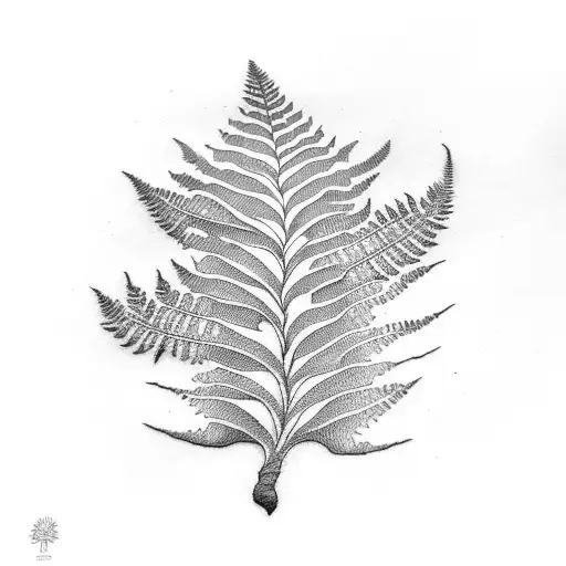 Fern Tree tattoo design idea