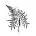 Fern Tree tattoo design idea