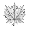 Canadian maple leaf with Scottish thistle inside tattoo design idea