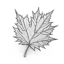 Canadian maple leaf with Scottish thistle inside tattoo design idea