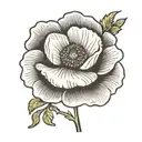 simple poppy flower tattoo design idea