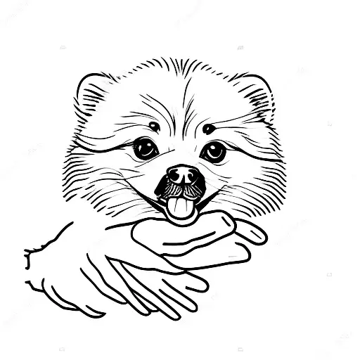 Pomeranian pawing human hand tattoo design idea