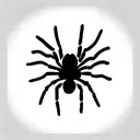 Spider tattoo design idea