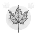 maple leaf with celtic knot tattoo design idea