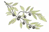 Olive Branch around the forearm with a few black olives tattoo design idea
