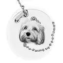 dog tag locket with meral chain with number 151580Z tattoo design idea