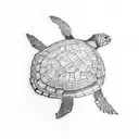 Hawaiian turtle tattoo  tattoo design idea