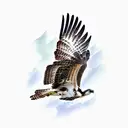 osprey bird tattoo design idea