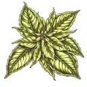bay leaf, infinty  tattoo design idea
