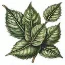 bay leaf tattoo design idea