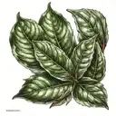 bay leaf tattoo design idea
