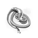 A python and a bjj belt tattoo design idea